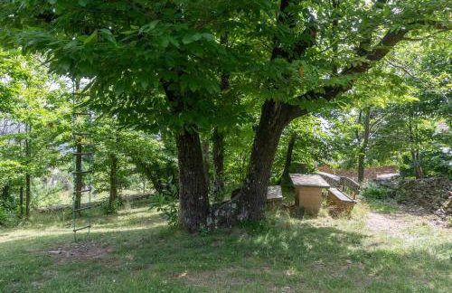 Maisons Cozy - Mas Lachamp - Foto 5