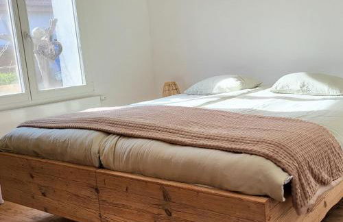 Coeurvert Calme en clairière - Ruhe in der Waldlichtung - Forest clearing stillness - Foto 61