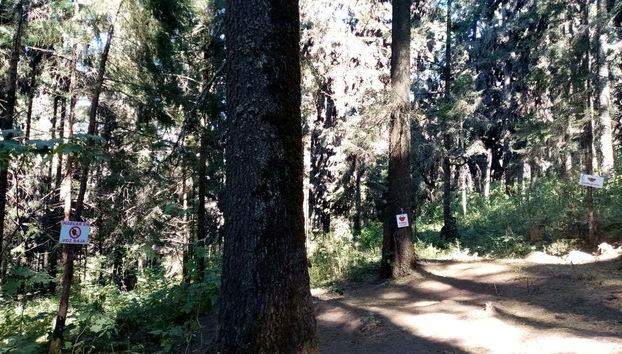 Disfrutaremos de los bonitos bosques de Valle de Bravo