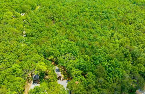 Fern Cottage in Menlo GA - Foto 40