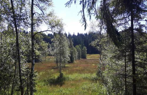 Ferienwohnung Sonnenschein - Foto 18