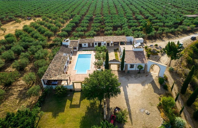 Villa Violino - Castelvetrano - Photo 4