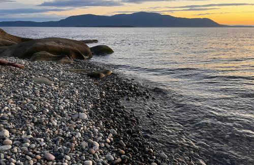 Driftwood Dreams - Foto 40