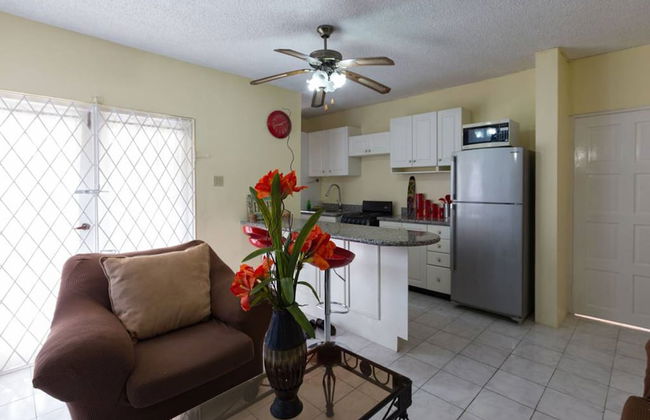 Kgn Most Centrally Located One Bdrm II - Foto 11