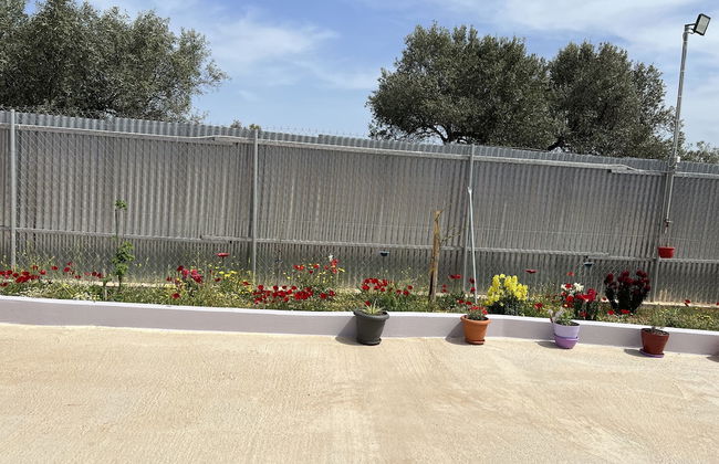 Ecological Studio Flat in Kalyvia Thorikou, Greece - Foto 30