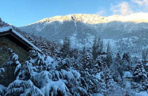 Pinecone Lodge, Eptalofos Wellness Garden Chalet - Foto 70