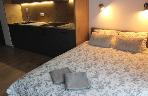 Apartament Chopina - Foto 11