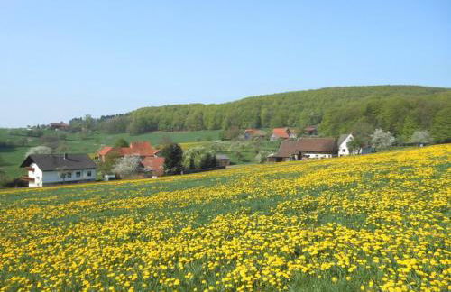 Ferienwohnung Öttersbach - Foto 36