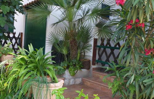 Studio apartment in Mali Losinj with terrace, air conditioning, WiFi, washing machine 4913-2 - Foto 33