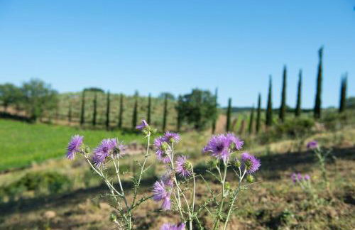 Agriturismo Poggio Corbello - Foto 79