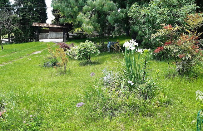 Cozy Detached House, Wide Garden, Wifi - Foto 29