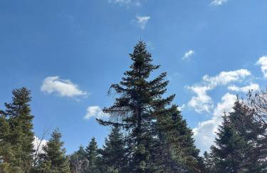 Gouvas stone house - Photo 28