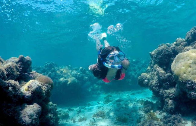 Maracajau Day Trip + Speedboat Ride - Foto 2