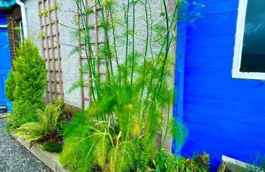 Lime Tree House - Foto 44