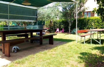 Apartment Silvija Pula - Photo 9