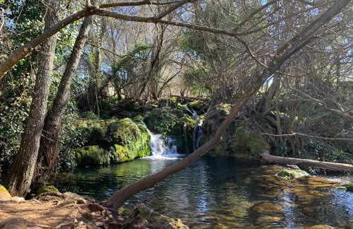 Casa Rural Nacimiento del Huéznar - Tomillo 23 - Foto 39