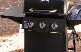 Bearadise Cabin - Foto 6