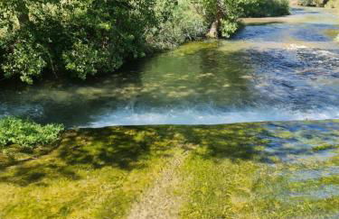 La casa del bosque - Foto 34