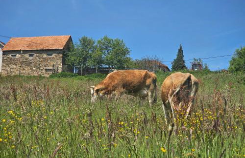 Srce Petrove gore - Foto 12