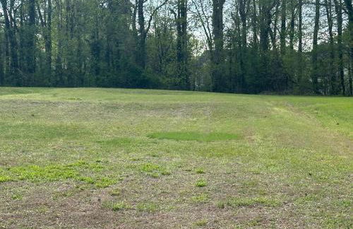 Nice and Simple Country Home - Photo 4