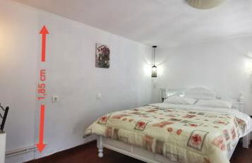 Anthis Studios - Foto 73