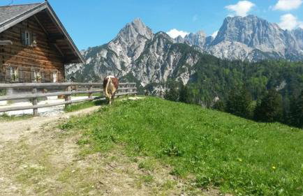Ferienwohnungen Gästehaus Lärcheck - Foto 54