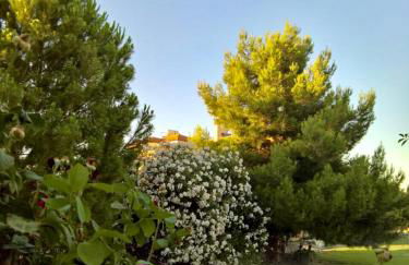 Villa Marita - Photo 16