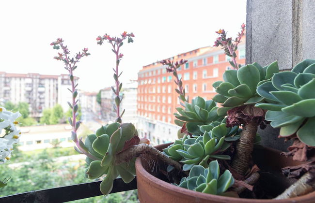 Italianway - Palestrina 31 - Foto 11