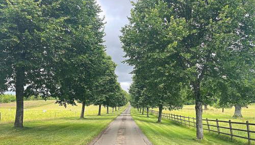 Historical cottage on private estate in Cotswolds - Foto 4