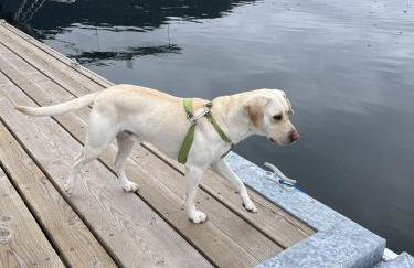 Cozy Luxury Close to Downtown 204 - Foto 14