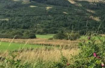 Corlae Cottage, mountain and forest views - Foto 25