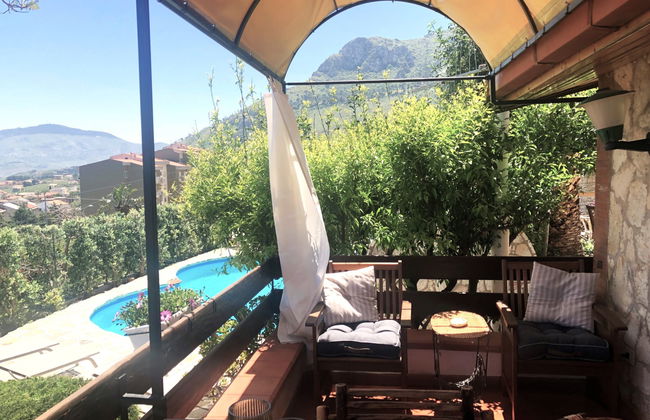 Melograno di Patrizia - Foto 3