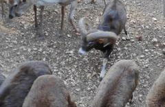 Alojamiento valeria - Foto 36