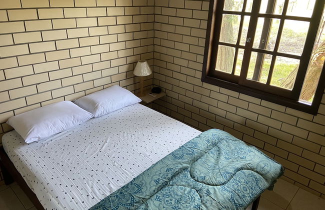 Haras Trevo de Ferro - Photo 6