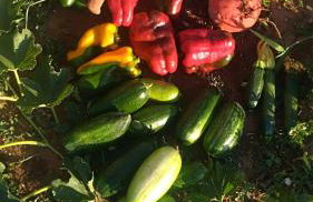 Masseria Murrieri Vecchio, Salento - Foto 36