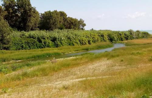 Residenza Corso Baccio - Foto 72