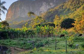 Casinha Fulô do Bongue - 6 km from Serra dos Alves - Photo 9