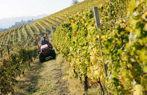 Luxe Villa, All Ensuites & Private Vineyard Views - Foto 43