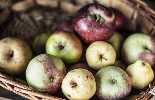 Azienda Agrituristica Alcastlè - Foto 47