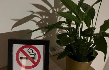 Apartment Kammi - Foto 10