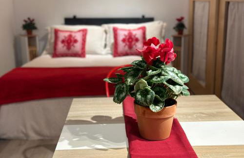 Natural RED Passion in Perugia Downtown - Photo 12