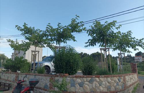 Feel Good Apartment Rab Mundanije 131 - Foto 10