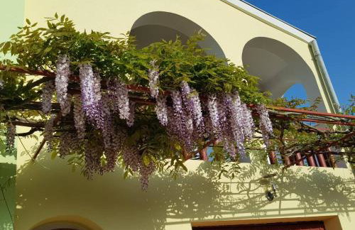 Apartments Judit - Foto 45