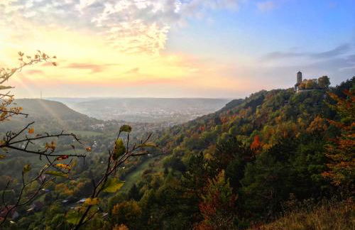 Ferienwohnung im idyllischen Jena Ziegenhain - Foto 33