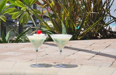 Sunset Cove Apollo Beach - Foto 6