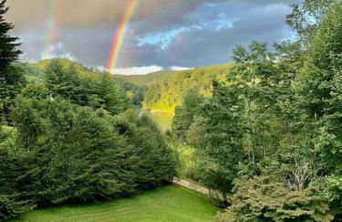 Stunning Modern Rustic Lake Retreat PRVT BOAT SLIP - Foto 43