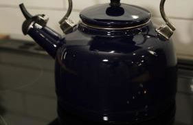 A Cabin in the City with a 5 Star Lush Backyard - Foto 19