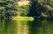 Stodoła Rzym - domek, jacuzzi, sauna, jezioro, las - Foto 14