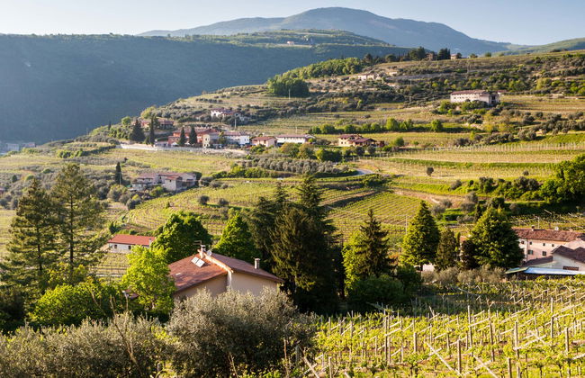Tour del vino en bicicleta eléctrica por Valpolicella - Foto 7