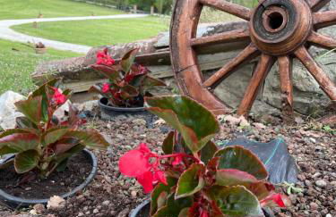 Cerqua Rosara Residence - Foto 82